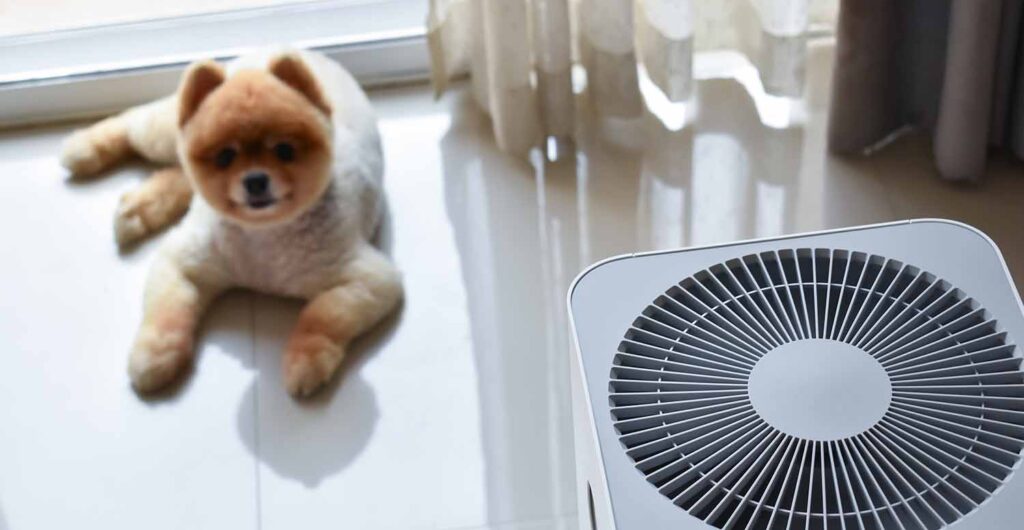 A dog lounging on the ground next to an air purifier