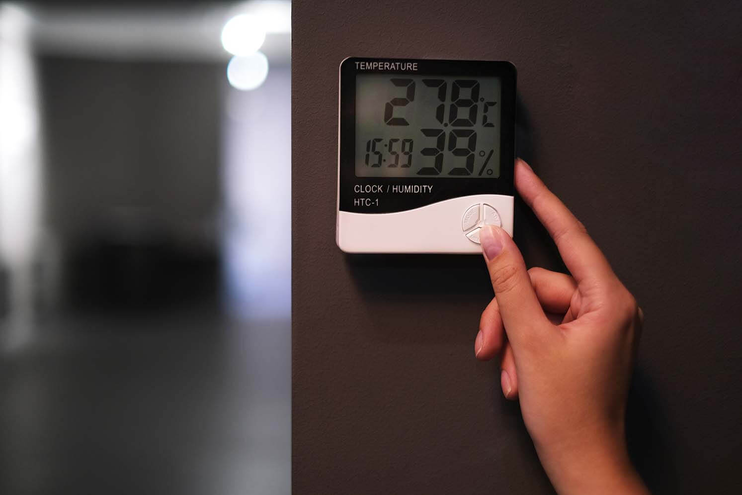 Humidity and Temperature in Kitchens How They Affect Food Production